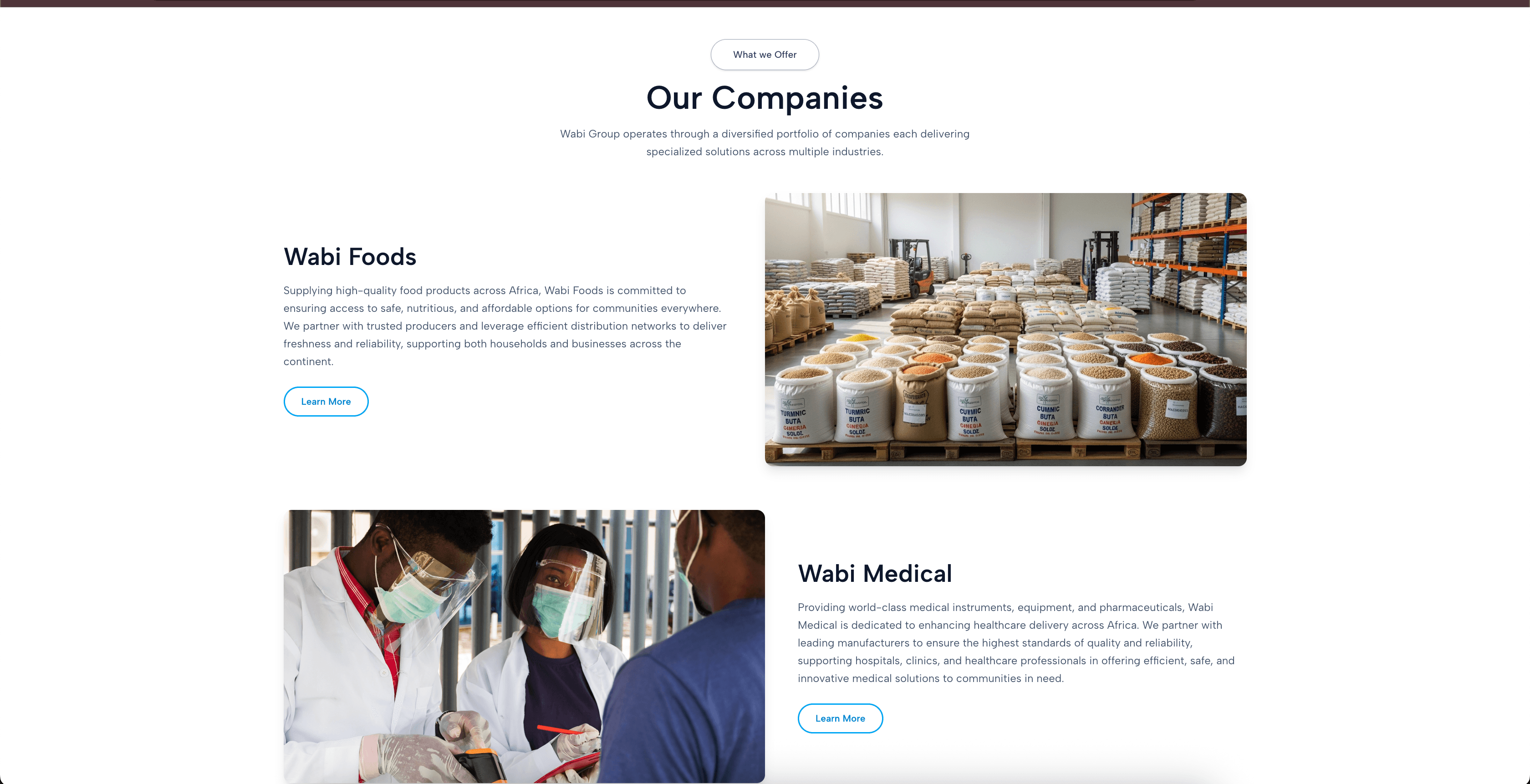 Wabi Group companies section for Foods and Medical